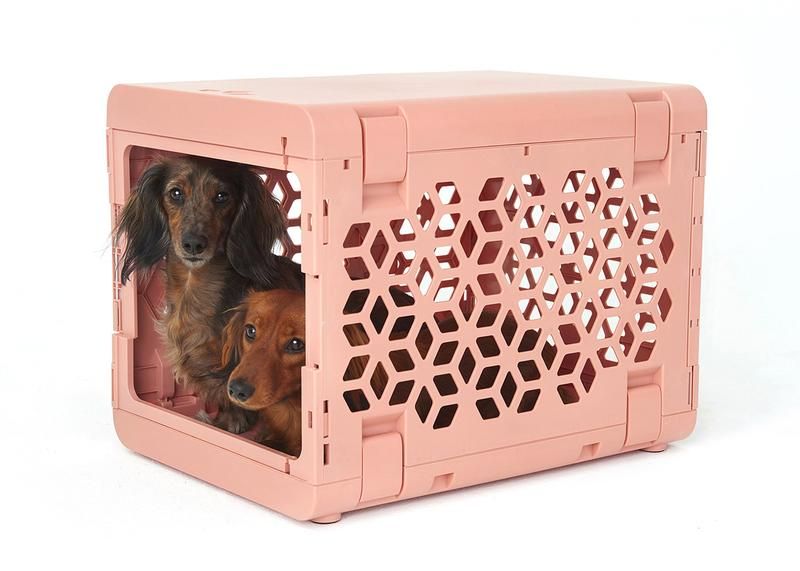 Modern collapsible plastic dog crates Plastic dog crates