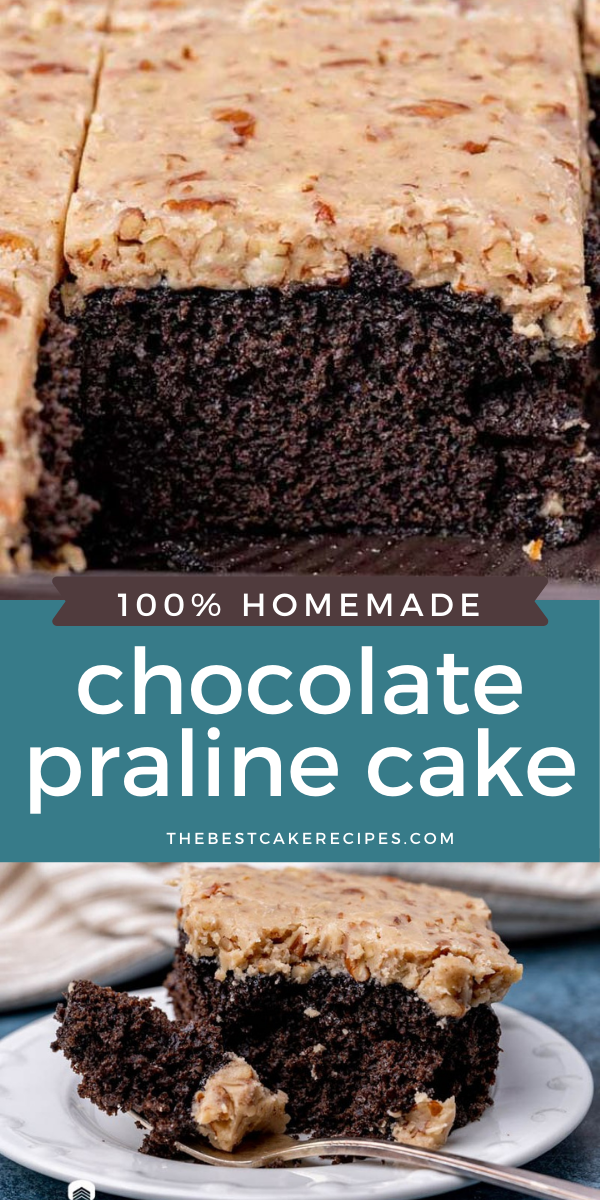 Entremet Chocolat Praline Amuses Bouche Recette Gateau Anniversaire Chocolat Entremet Chocolat Gateau Anniversaire Chocolat