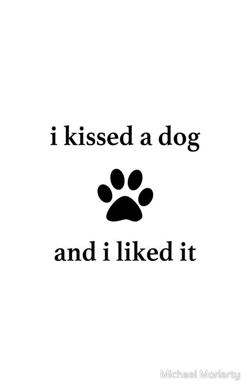 i kissed a dog and i liked it Cute Puppies, Dogs And Puppies, Cute Dogs, Doggies, Maltese Dogs, Chihuahua, I Love Dogs, Puppy Love, Animals And Pets
