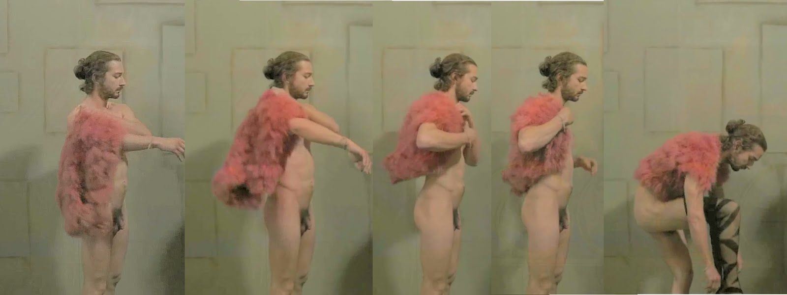 Shia labeouf naked Amusing shia labeouf naked maybe