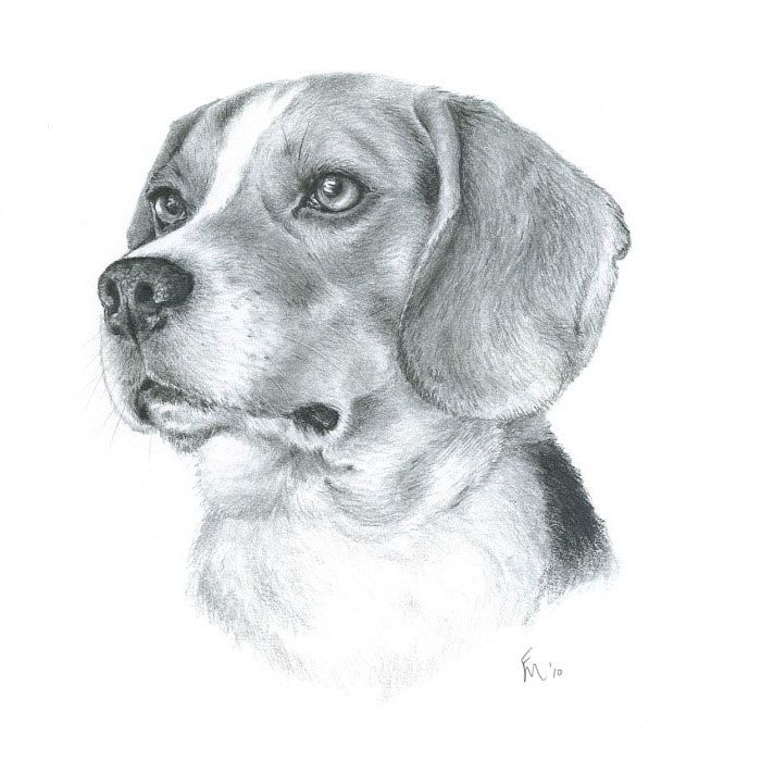 Canine Beagle Art