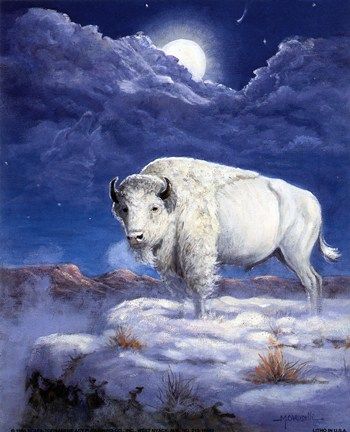 La Femme Bison Blanc La Femme Bison Blanc