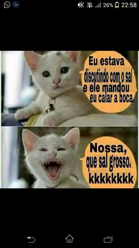 Nossa, que Sal Grosso. kkkkkkkkkk Piadas curtas engraçadas, Meme