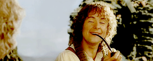 The Lord Of The Rings GIF - Find & Share on GIPHY