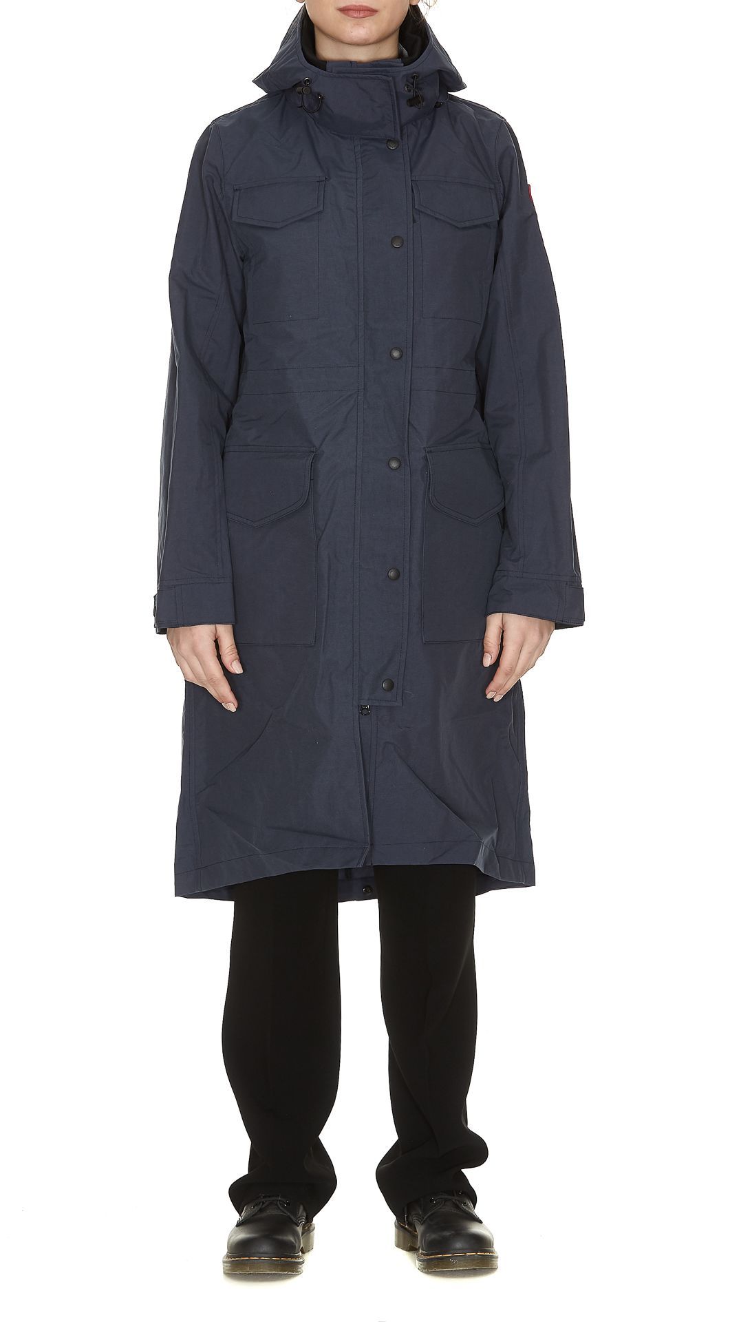 canada goose Polar Sea canada goose Polar Sea