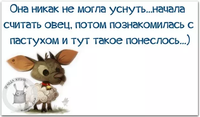 Уснуть не могу картинки с надписями