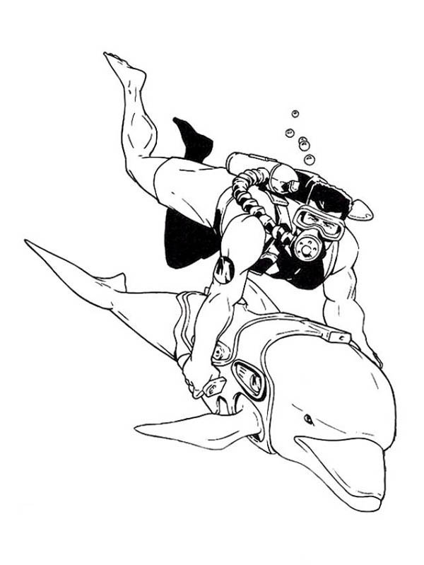 Pin by ColorNimbus on Dolphin Coloring Pages | Dolphin coloring pages