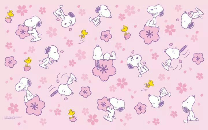 Snoopy スヌーピーの壁紙 ハローキティの写真 スヌーピー イラスト Snoopy スヌーピーの壁紙 ハローキティの写真 スヌーピー イラスト