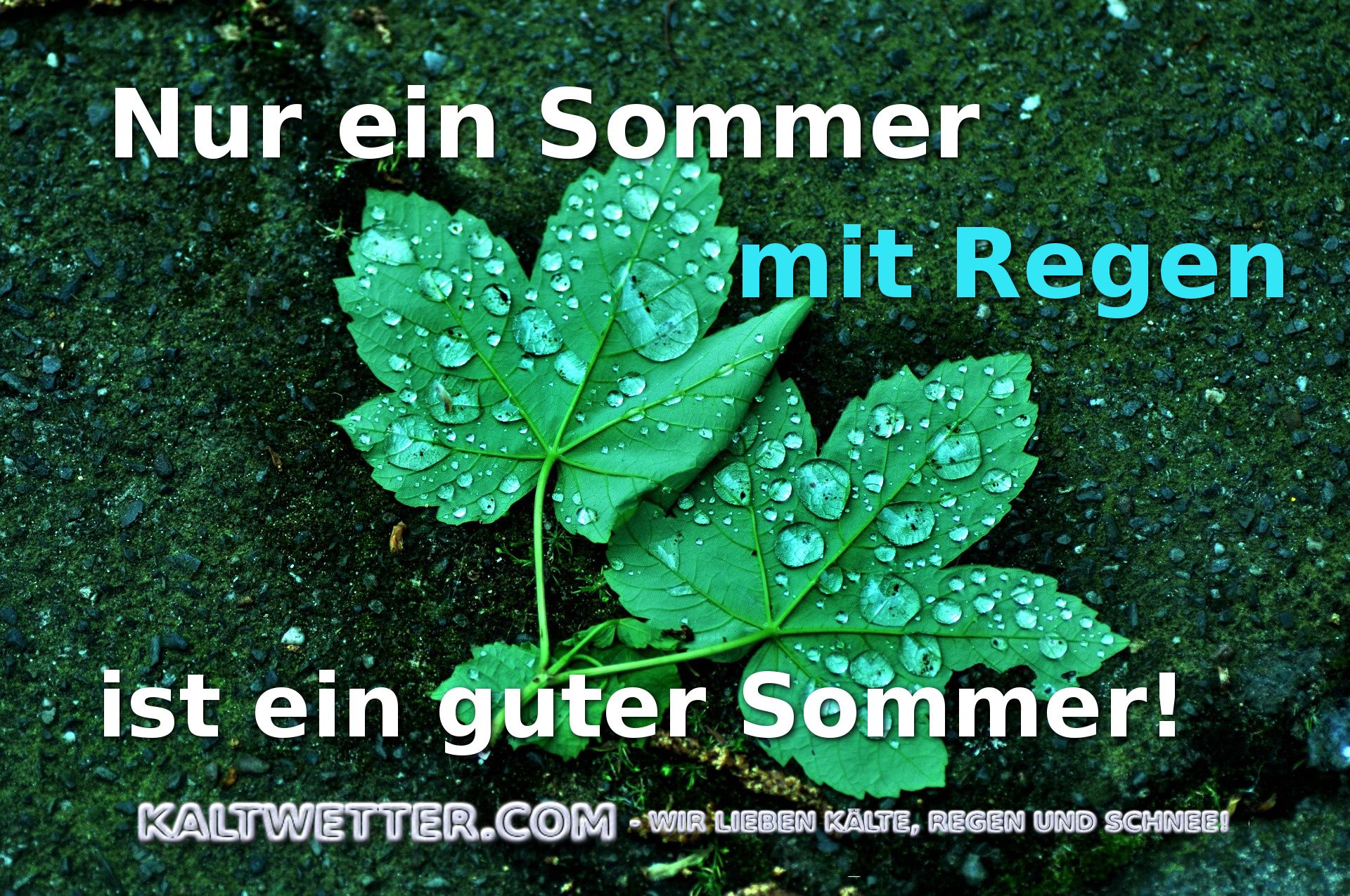 Sommer Regen Meme Spruch Kaltwetter Sprüche Kaltes Wetter