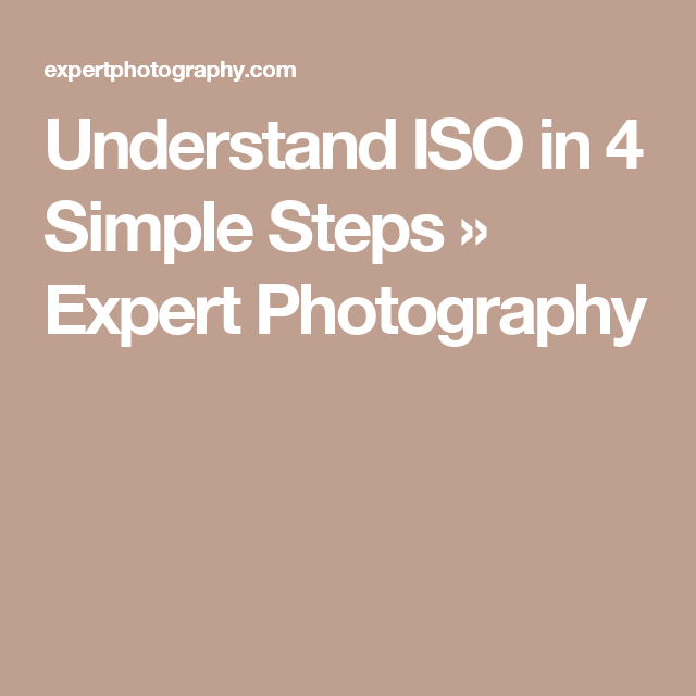 What Is Iso And How To Use It In 4 Simple Steps