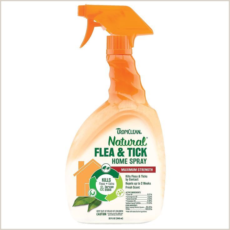 TropiClean Natural* Flea & Tick Home Spray is guaranteed to kill fleas and ticks by contact and can be sprayed directly on carpet, furniture, and bedding to prevent pests indoors. This natural essential oil blend contains some of natures most powerful pest-fighting ingredients, maximized with lemongrass oil for long-lasting repellent effects. When used as directed, Home Spray is suitable to use around dogs and cats. Use with other Natural* Flea & Tick products including Max Strength Shampo... Flea Spray For Dogs, Flea And Tick Spray, Natural Essential Oils, Essential Oil Blends, Natural Oils, Natural Mosquito Repellant, Mosquito Repellent, Pet Supermarket, Home Spray