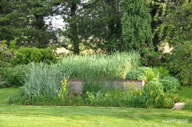 Jardin d\u0027Assainissement compact Pythoépuration Pinterest - assainissement d une maison Jardin d\u0027Assainissement compact Pythoépuration Pinterest - assainissement d une maison