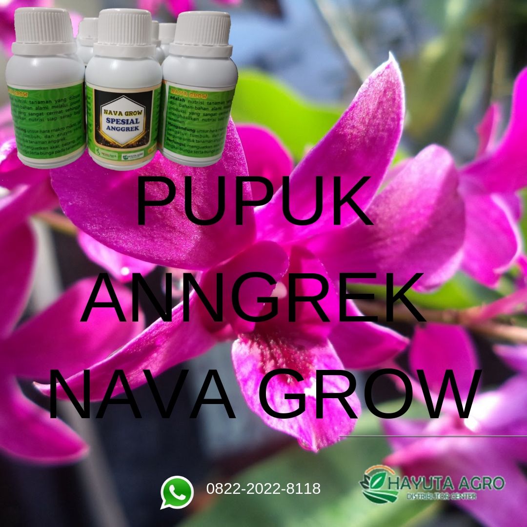 Hp Wa 082 220 228 118 Promo Pupuk Anggrek Yang Bagus Ngada Harga