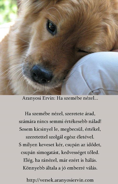költség sf ismerkedés egy másik szó a további megismerje