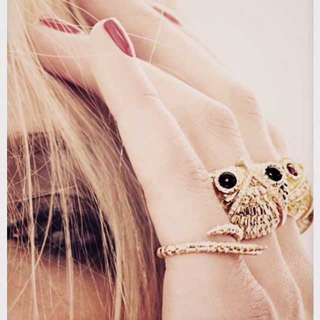 Partnersuche owl