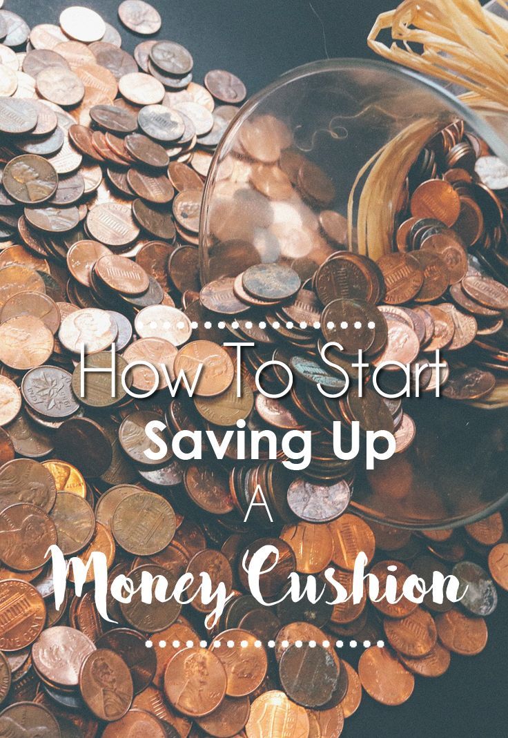 How to Start Saving Up a Small Money Cushion - L Bee and the Money Tree