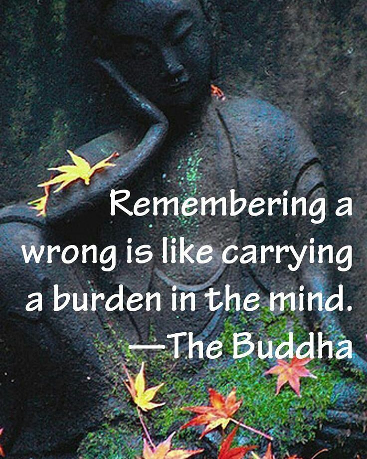 Instagram | Buddha quote, Buddha quotes peace, Buddha quotes inspirational