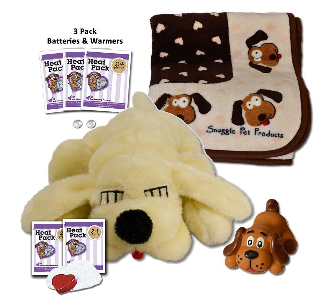 Finally The Perfect Starter Kit For A New Puppy This