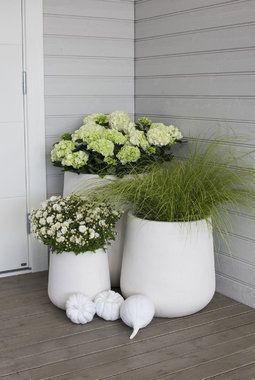 Disse blomstene holder seg vakre hele høsten - Deko Vor Der Haustür Ideen