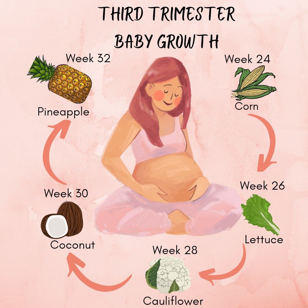 Third Trimester growth