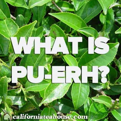 What is Puer What is Puer