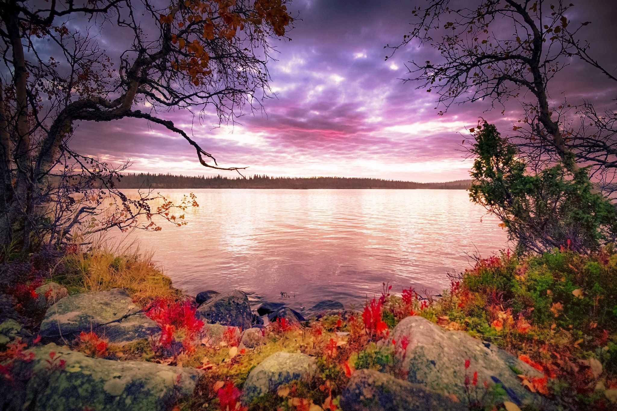 Lakes Autumn Morning Plants Fall Tranquility Sky Beautiful Lakes Autumn Morning Plants Fall Tranquility Sky Beautiful