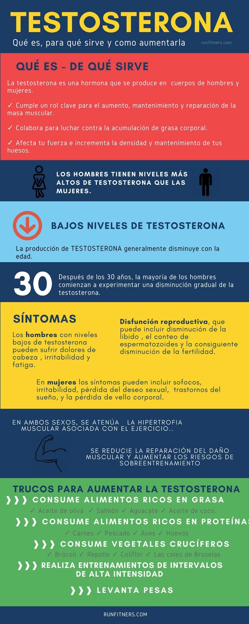 Que Produce Testosterona Y Espermatozoides Que Produce Testosterona Y Espermatozoides