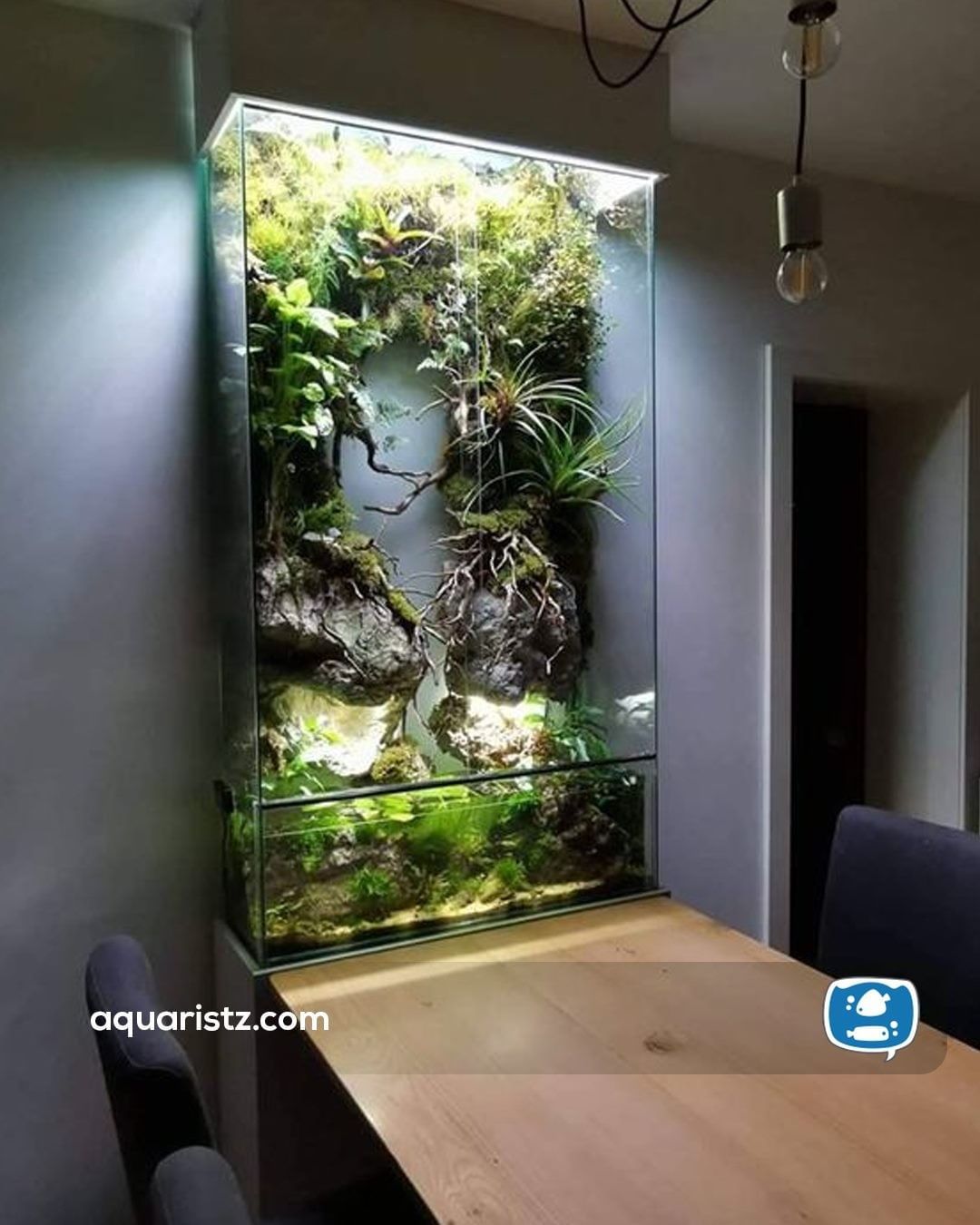 Aquarium + Paludarium 😍 . ➖➖➖➖➖➖➖➖➖➖➖➖ 👍🏻 Like | 🔖 & Share! 💎| Follow @aquaristz for more!⁣ 🔔| Turn… | Outdoor fish Aquarium design, Wall aquarium