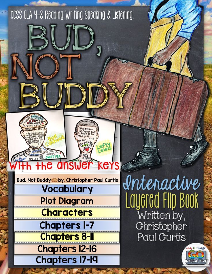 bud not buddy novel study literature guide flip book all things