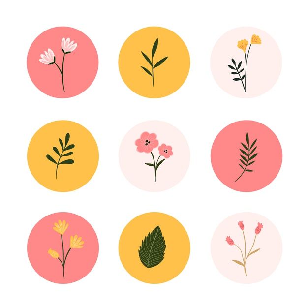 Instagram Hand Drawn Floral Stories Highlights Instagram Hand Drawn Floral Stories Highlights