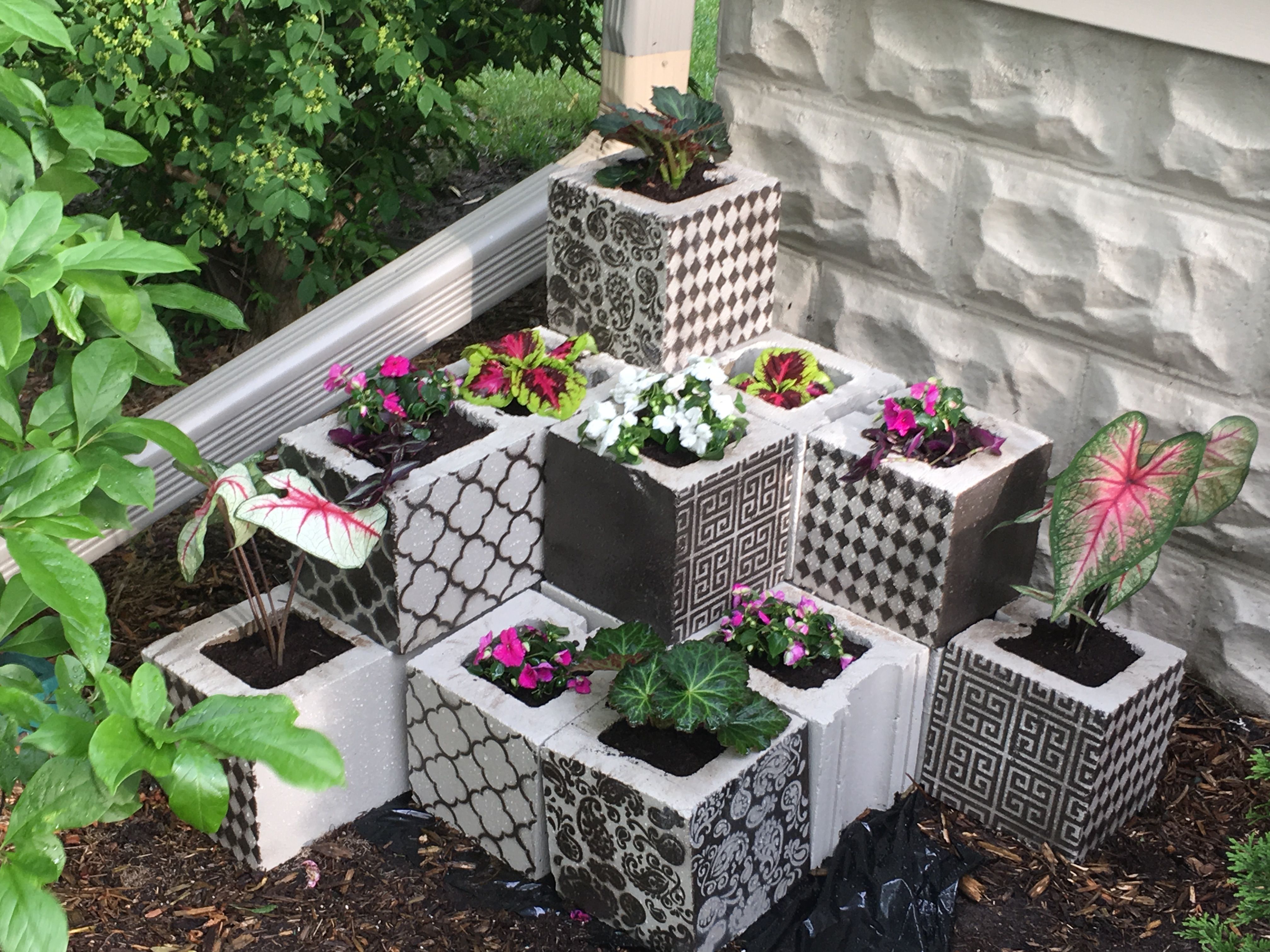 Cinder block planter Cinder block, Planters, Plants