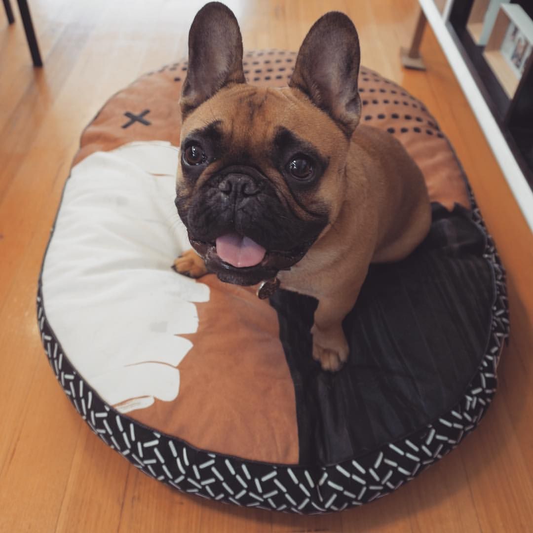 Homer Homie Homerson On Instagram That Freshsheet Feeling