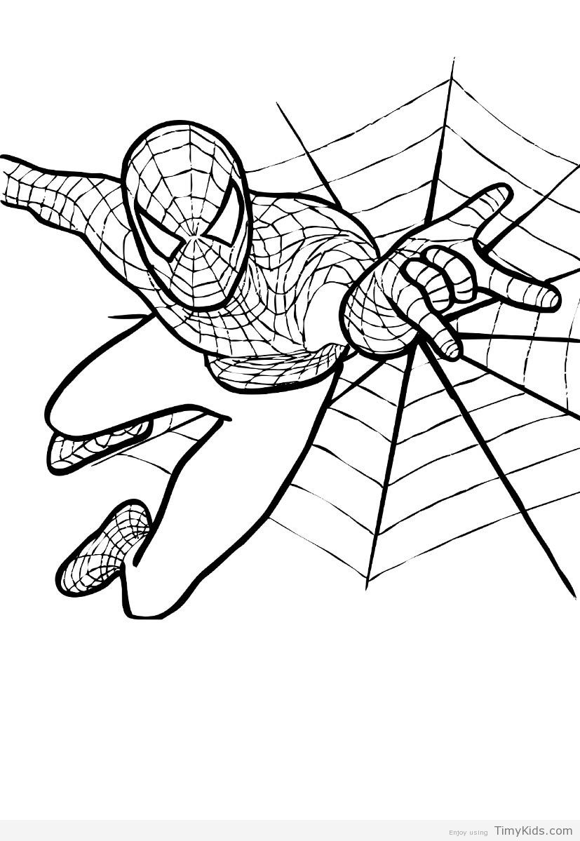 http timykids com spiderman color html colorings pinterest