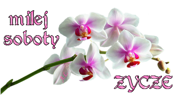 Gify I Obrazki Na Dni Tygodnia Wierszyki I Gify Sobota S Youtube