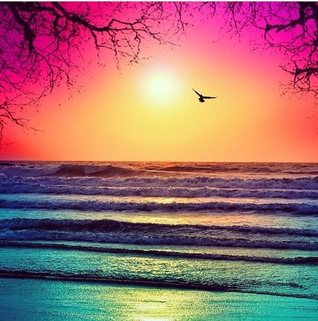 Pin By Morgan Bee On Photoworthy Sunset Nature Ocean Sunset Beautiful Ocean Pin By Morgan Bee On Photoworthy Sunset Nature Ocean Sunset Beautiful Ocean