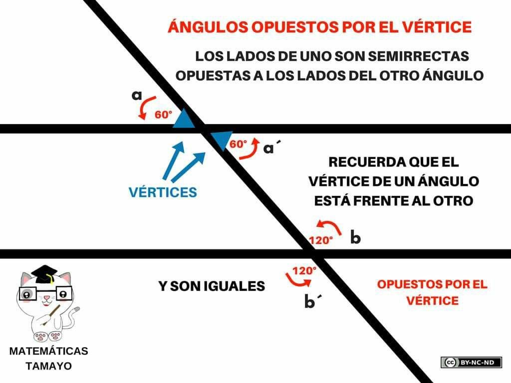 Pin De Jorge Bejarano En Geometria En 2020 Matematicas Logico