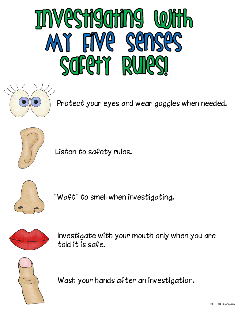 worksheet Science Lab Safety Rules Worksheet little miss kindergarten lessons from the red schoolhouse hypothesis science lab 5 senses safety rules