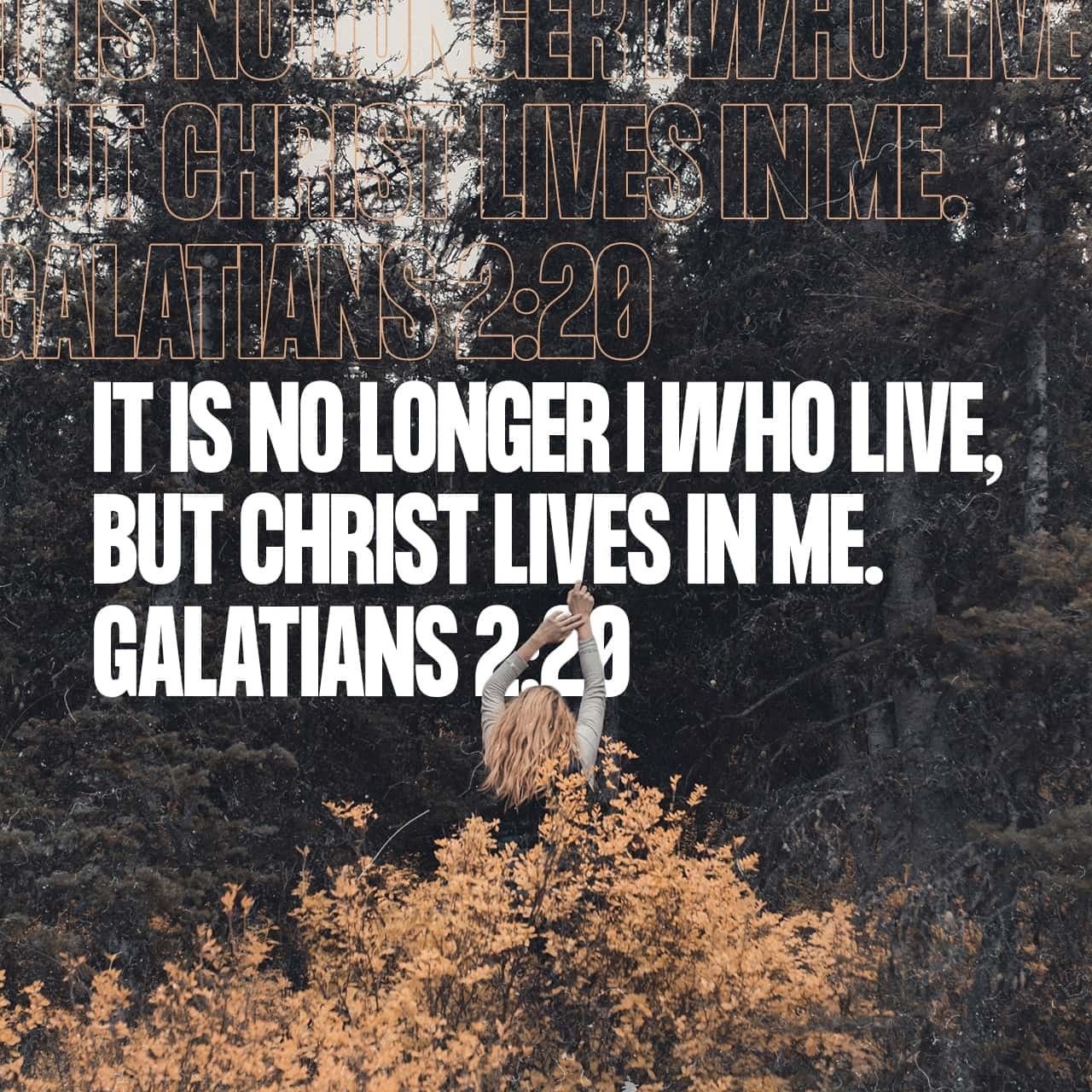 Pin By On Christ In 2020 Verse Of The Day Christ Bible Pin By On Christ In 2020 Verse Of The Day Christ Bible