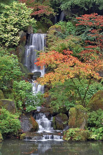 Japanese Water Garden Portland cascadas Pinterest Cascadas - cascadas en jardines Japanese Water Garden Portland cascadas Pinterest Cascadas - cascadas en jardines