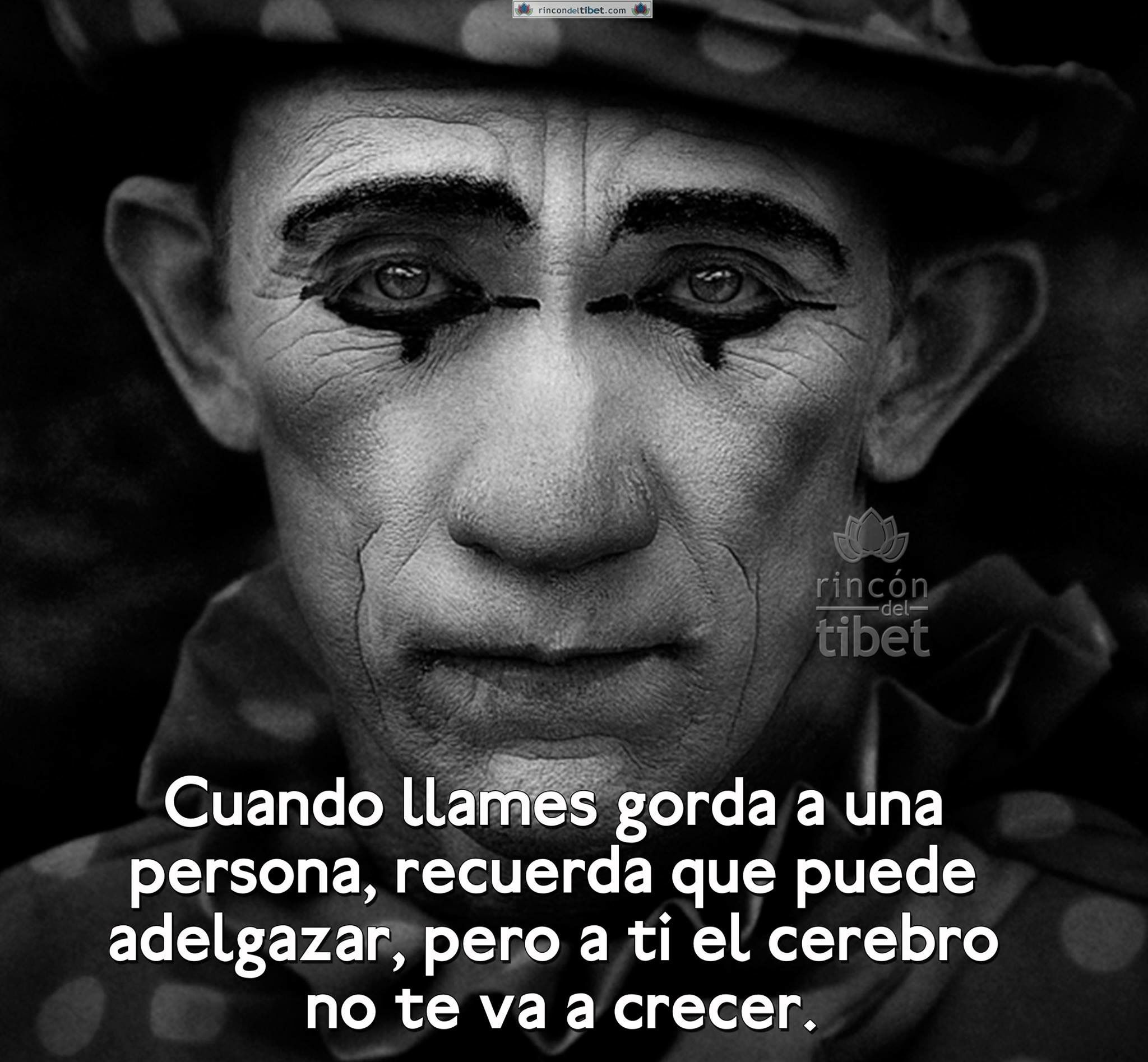 Soy una gorda quiero adelgazar Soy una gorda quiero adelgazar