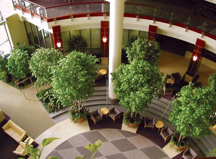 Interior Design Gardening Tips And Travel Advice Interior Design Gardening Tips And Travel Advice