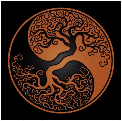 erotic yin yang Transexuals hide penis
