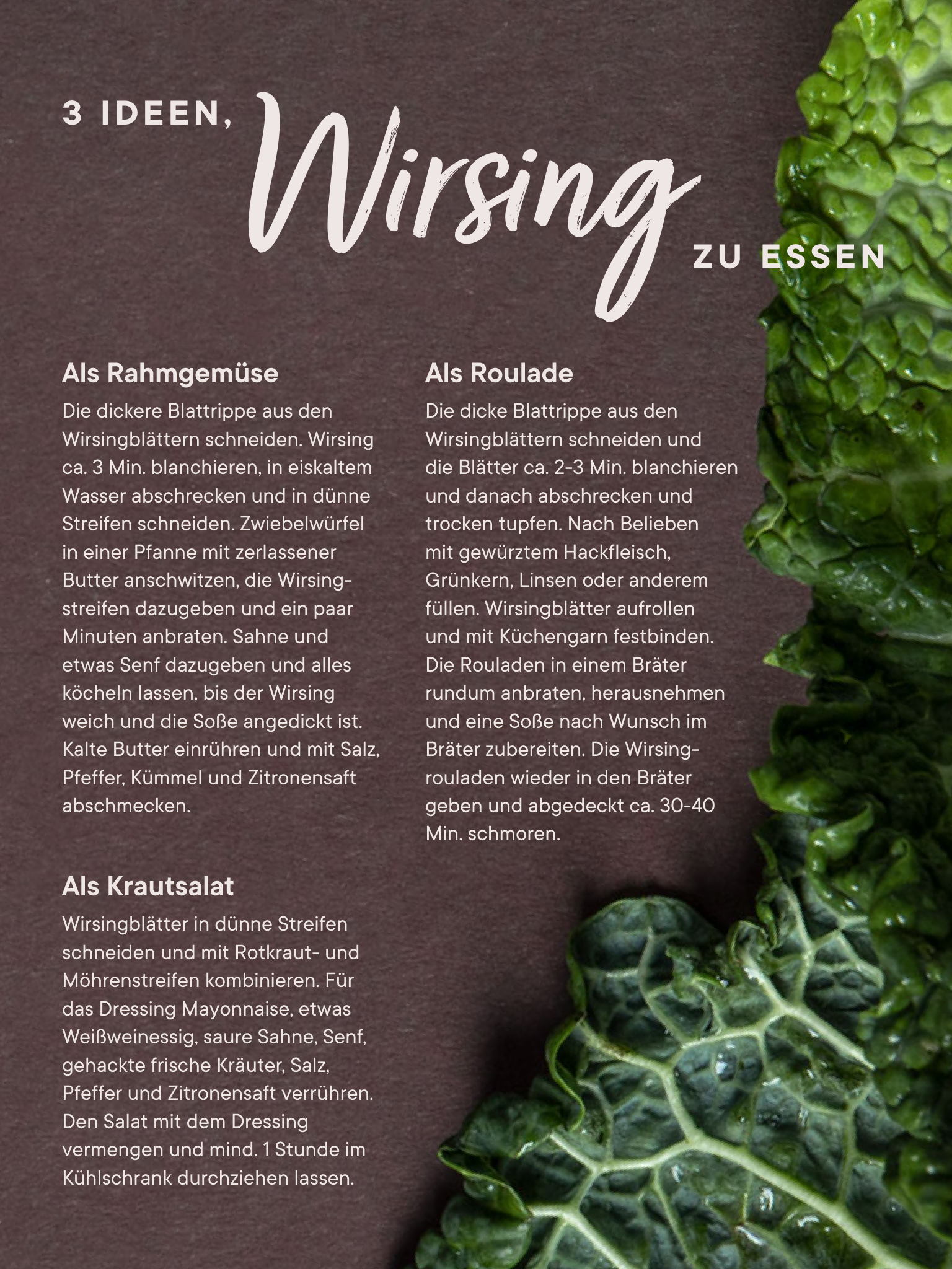 Saison Wirsing Saison Wirsing