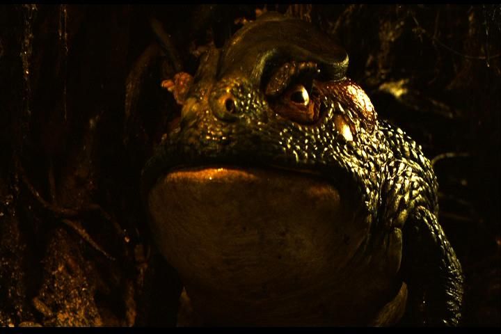 Mazes And Monsters Not Really Labyrinth Pan Labyrinth Movie Monsters