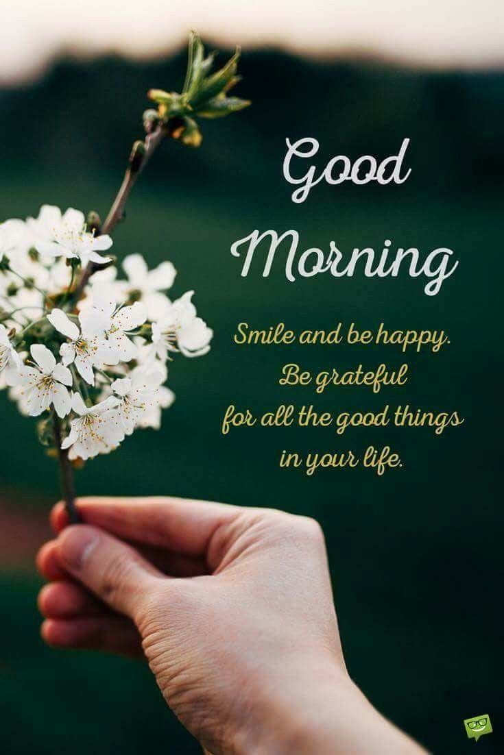 Sayings To Share Pinterest Morning Quotes Good Morning And Good Morning Quotes Sayings To Share Pinterest Morning Quotes Good Morning And Good Morning Quotes