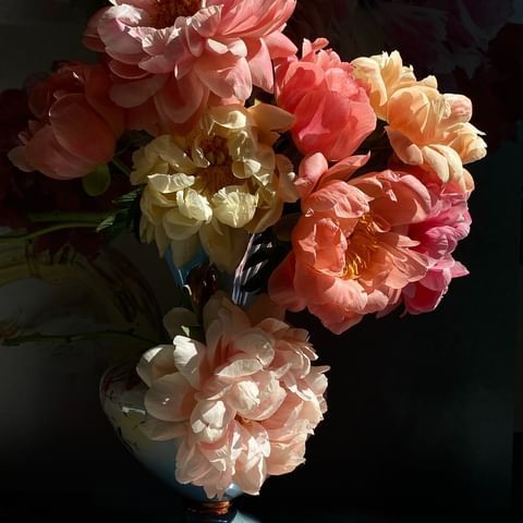 Manon Paardenkooper (@manonpaardenkooper) • Instagram photos and videos Floral Illustrations, Botanical Illustration, Flowers Photography, Botanical Gardens, Flower Painting, Peonies, Floral Arrangements, Floral Design, Floral Wreath