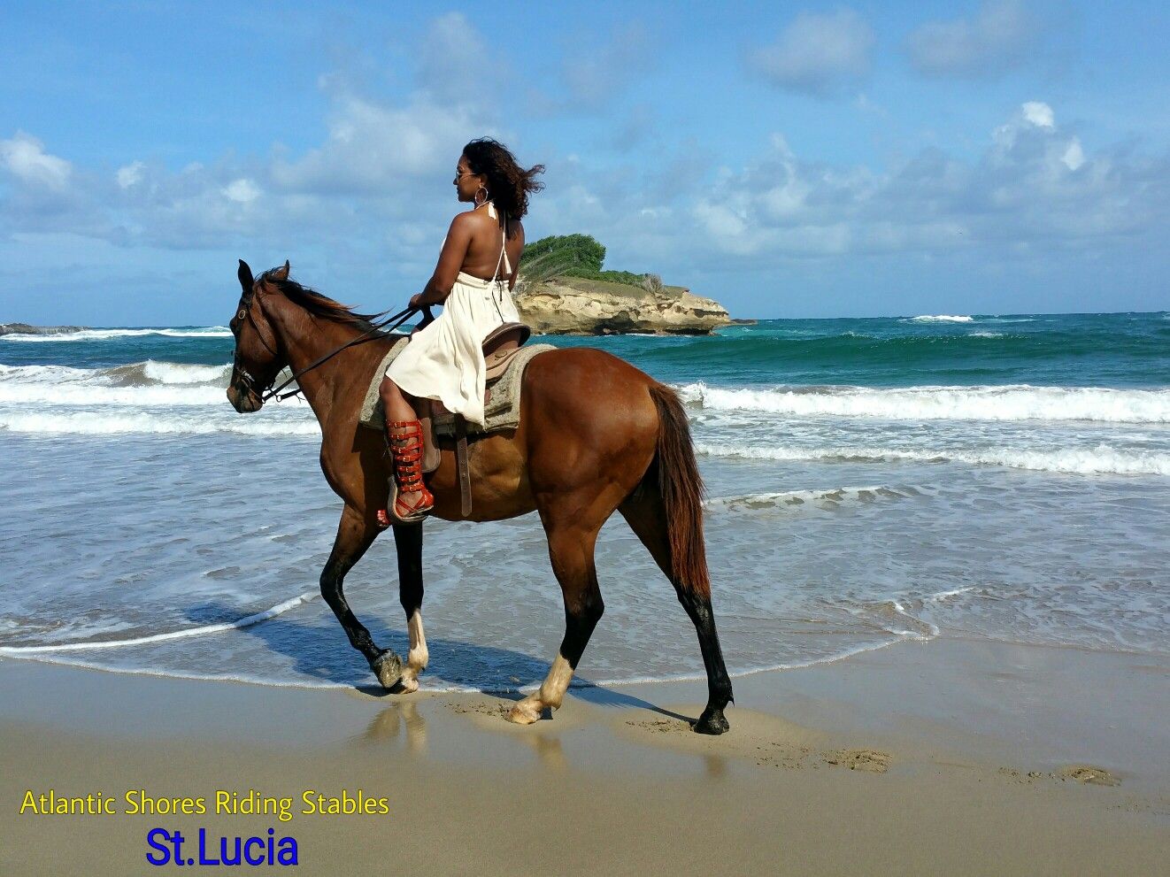 Horseback Riding On The Beach In St Lucia Horse Horseback Riding On The Beach In St Lucia