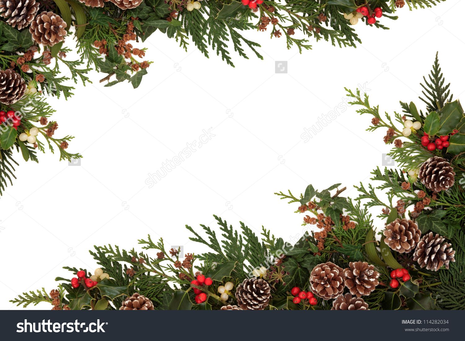 mistletoe border