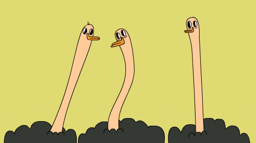 images Ostrich Gif Cartoon pin on farm