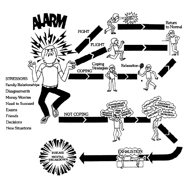 Image result for stress reaction